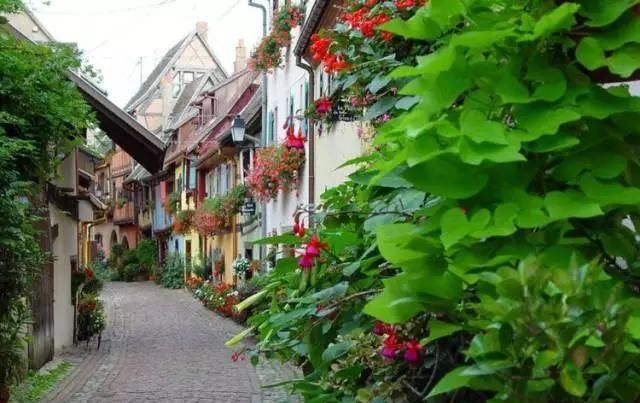 围观欧洲庭院,生活明朗,万物可爱