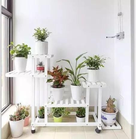  #花架#原来阳台还能这样种花，一看就像个花园，太漂亮了！