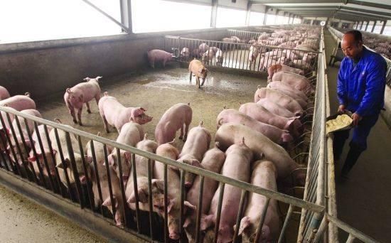  #城里人#城里企业月薪3000元，为啥农民工不愿意干？