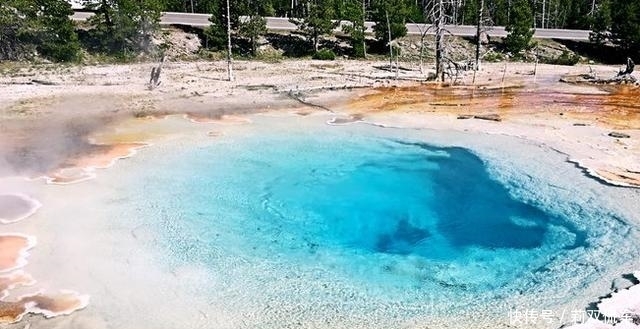 黄石公园珍稀的石化树,被游客一点点拿光,温泉被硬币堵塞!