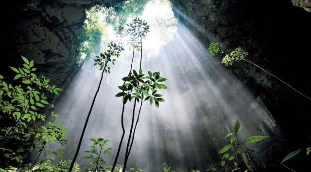 地貌惊险景色壮观，野生兰科植物丰富——走近黄猄洞天坑