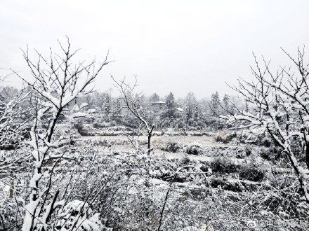 见过凤凰的水，见过凤凰的雪吗？