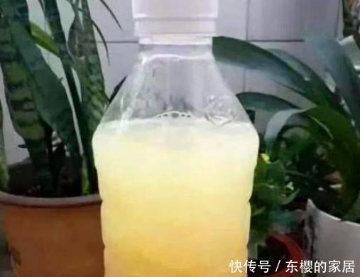 「亲民」如何寻找''亲民高效肥''?靠它们给花草施肥,氮磷钾钙全齐了