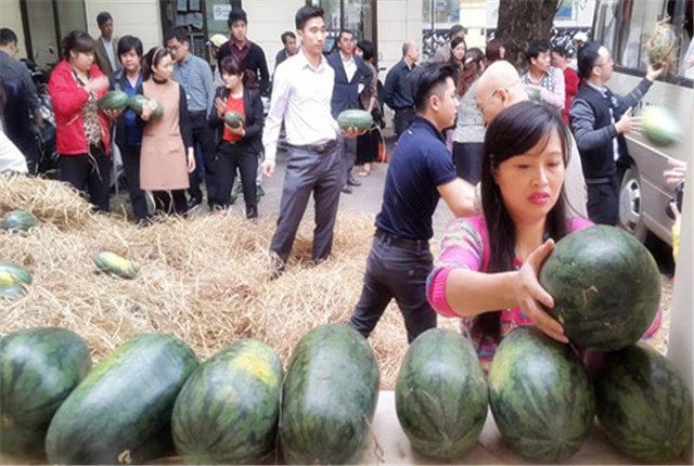 越南人种植大量西瓜无人收购,心中纳闷:怎么中