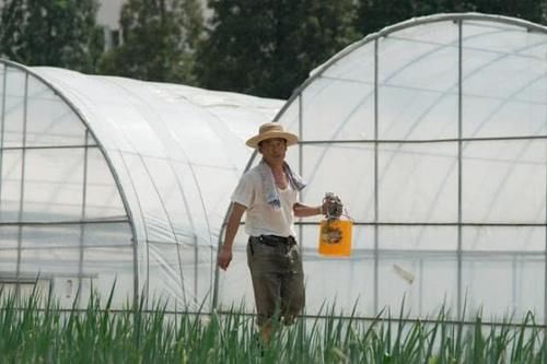  平壤|真实的朝鲜农村、农民和农业