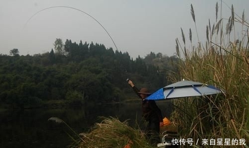  「天气」这里的鱼不仅多, 而且傻, 钓鱼拉得手抽筋