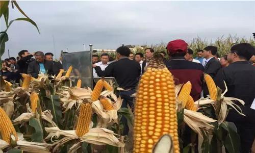 2019年农村又增加了2项补贴了，金额达2000元，别忘记领