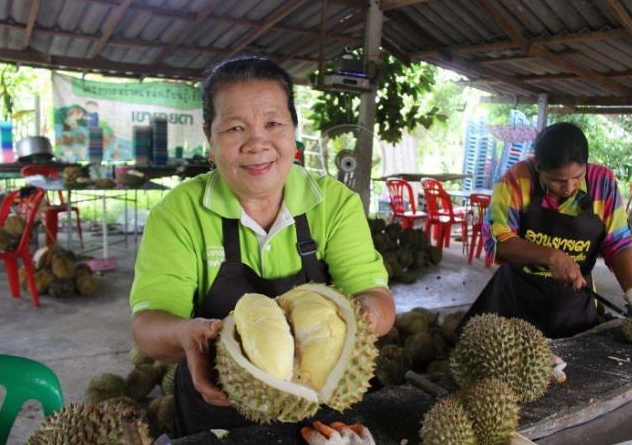榴莲“外销”成困难，商贩不反思还埋怨中国游客？网友：拒绝背锅