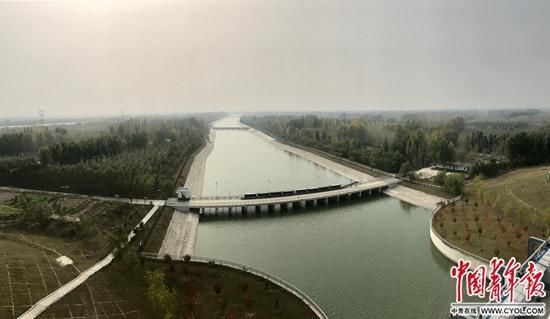  「南水北调」南水北调东线通水6年“水一来，整个生态就变了”