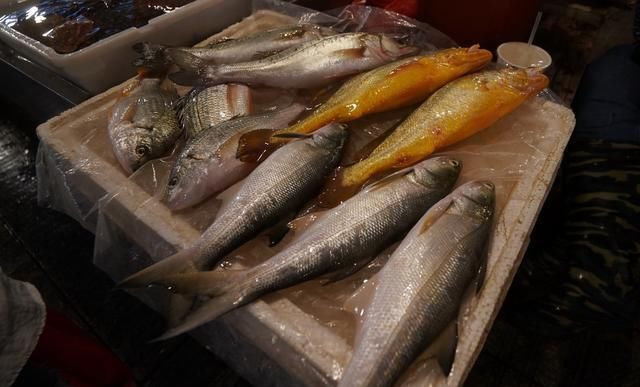 自驾走过广西广东海南,来到福建霞浦三沙,带你看看渔村海鲜价格