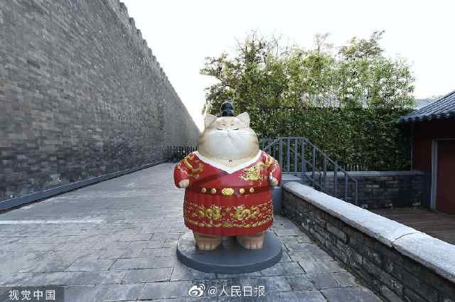 喵！喵！喵！故宫神武门现巨型御猫 成为新的旅游打卡圣地