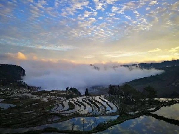 大促299元超值抢购元阳599自由行套餐