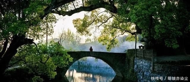  「银杏树」这十大长寿树王：棵棵大有来头，第一名比中国历史还