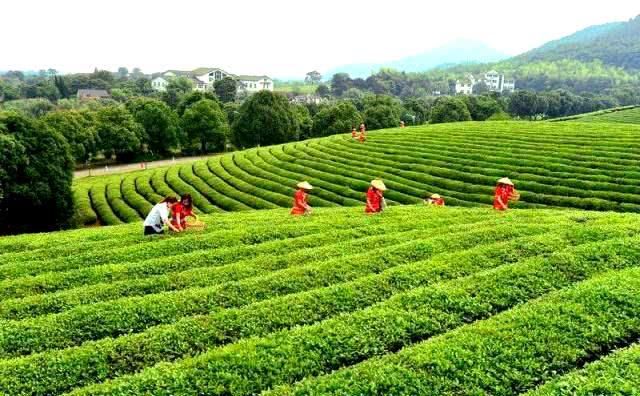 我国最“尴尬”的省，北方人认为它属于南方，南方人认为它是北方