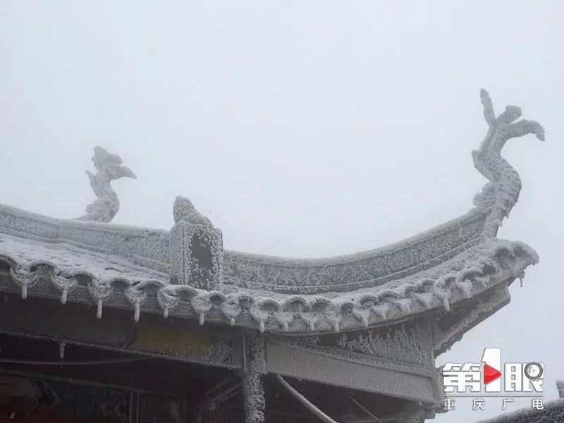 很冷，但也很美！今天重庆多地迎来降雪，你那里下雪了么