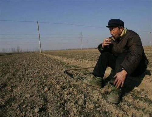  「处置」农民开垦荒地种植，这些多出来的土地，该怎么处置呢？