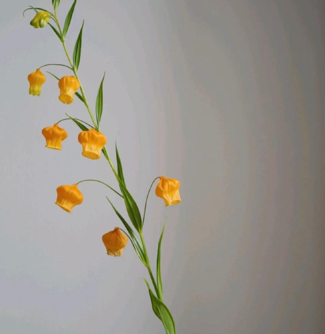  【稀少】号称是鲜花中的爱马仕，枝干上挂满了一盏盏小宫灯，数量稀少且价格奇高