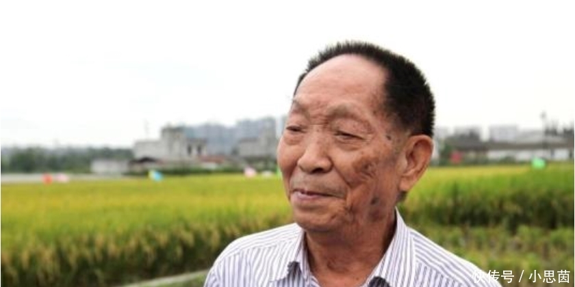  抛荒|袁隆平的担忧：大量粮食靠进口，农村却土地抛荒、种树怪象