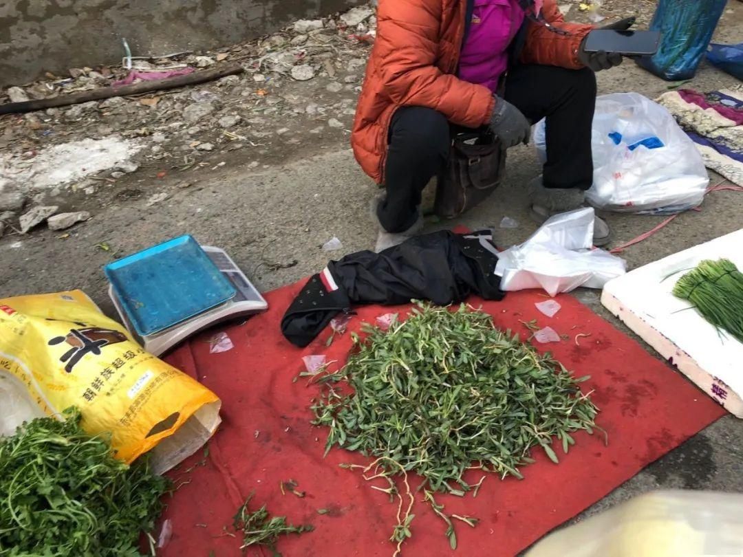  蹿到：@长春人，明天可以穿短袖喽！最高气温蹿到了21℃…