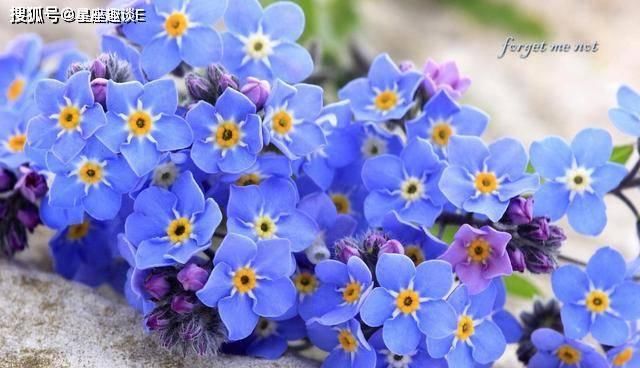  「巨蟹座」在4月下旬，念念不忘，旧情复燃，余情未了的三大星座