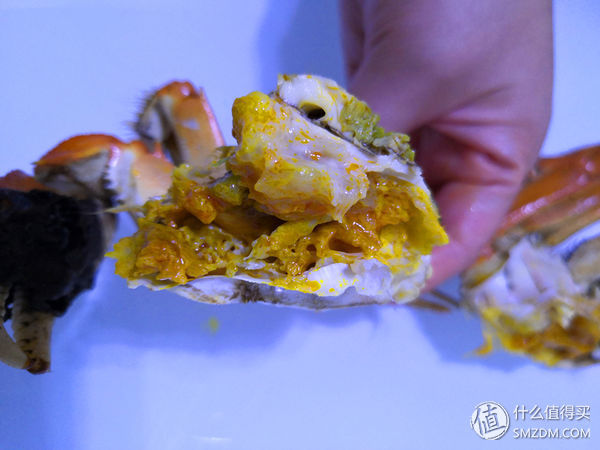 任你天花乱坠，简单一试，我就知道这大闸蟹值不值得吃!
