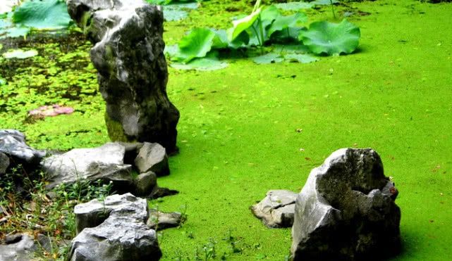 广东有一个州被国家选中了，投入巨资130亿，建设抽水蓄能电站