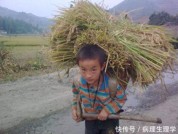 基金看好新能源汽车产业链 布局向高镍三元概