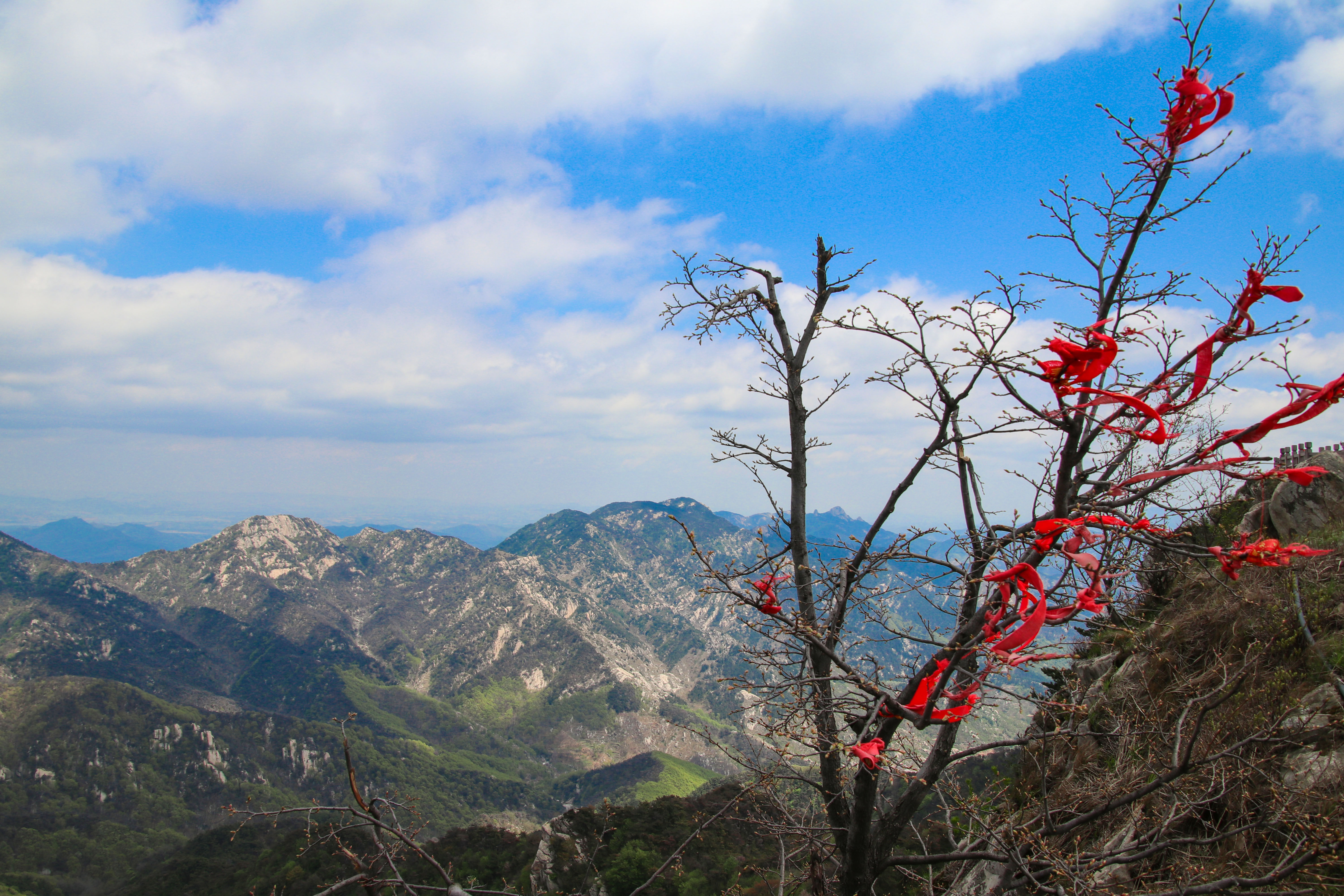 来沂蒙山,我“养”你啊