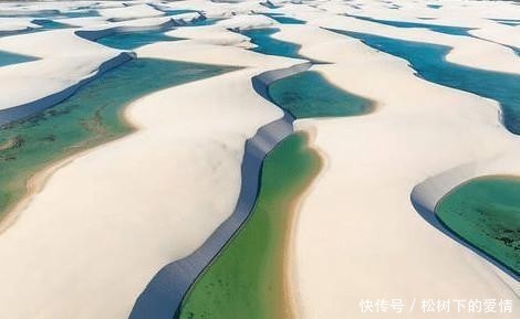 世界上最“牛”的沙漠,湖泊遍地鱼虾成群,引来众多野生动物栖息