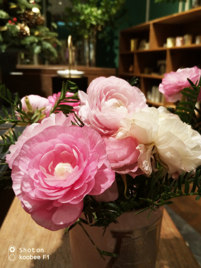 8000万像素的手机你见过吗? 酷比F1手机上手