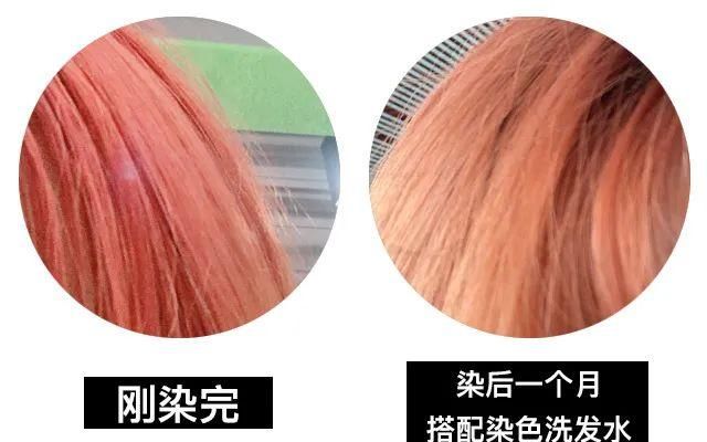 「好奇心」王菊染发失败的案例 成功勾起我的好奇心