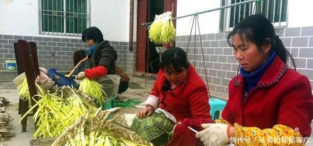 农民利用大棚种它，亩产2000斤，市价每斤十元