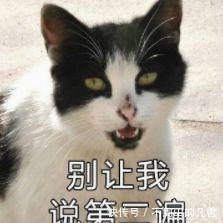 气温大反转！杭州将遭冷空气突袭，还有超强台风…“五一”热门地