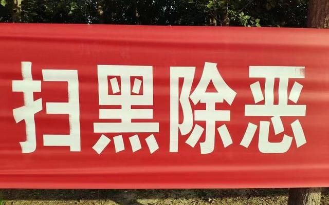 网传村干部要在扫黑行动后弄死举报人 官方：立案审查