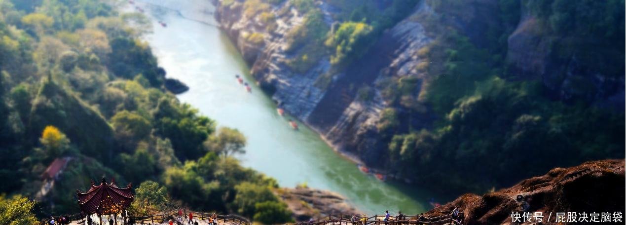 中国最珍稀的植物，曾一根分枝都能卖20多万，现在有钱也买不到！