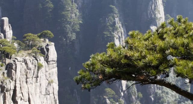 中国避暑胜地，浙江安徽各两处，安徽一处，这是八九月该去的地方