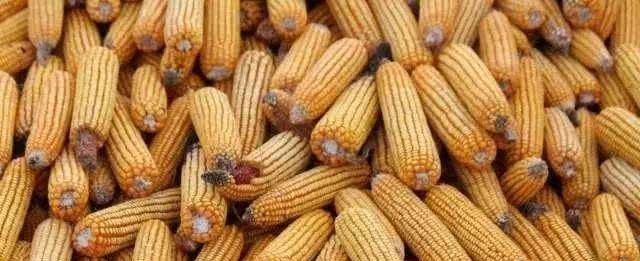 再过20天，农民要交4笔钱，一户至少5000元，早做准备