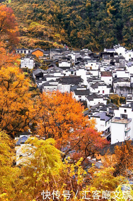 婺源的秋天,藏着最不像人间的人间,简直要把摄影师逼疯
