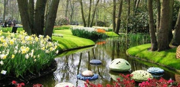 在郁金香盛放的国度，邂逅最美丽的春天