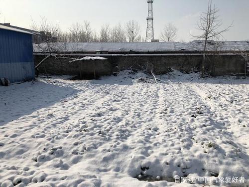 积雪10厘米！寒潮已强势南下，江淮黄淮一夜大雪后银装素裹