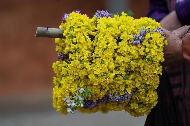 篁岭拍摄花絮 春天岂止在头上 谈谈怎样拍好油菜花环照 雪花新闻