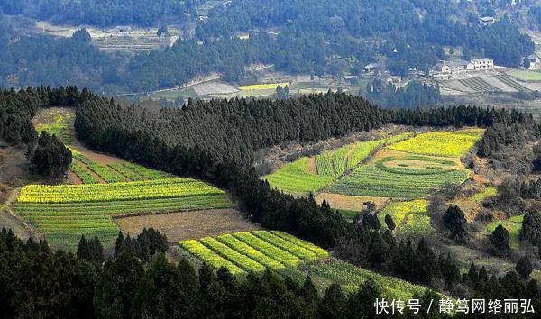 南充最大的县, 面积相当4个顺庆区大, 是你的家乡吗