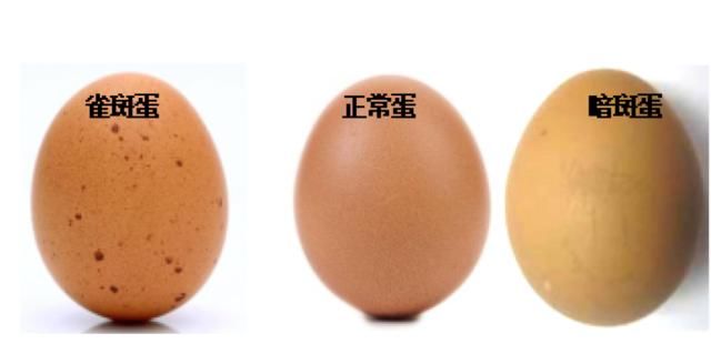 本周谣言盘点：长斑鸡蛋有沙门氏菌，吃了会中毒？