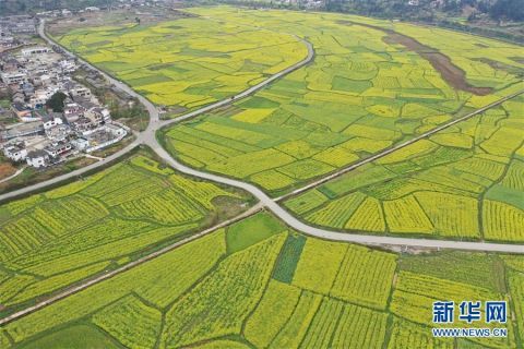  【防控】贵州贵定：山花烂漫 疫情防控不松懈