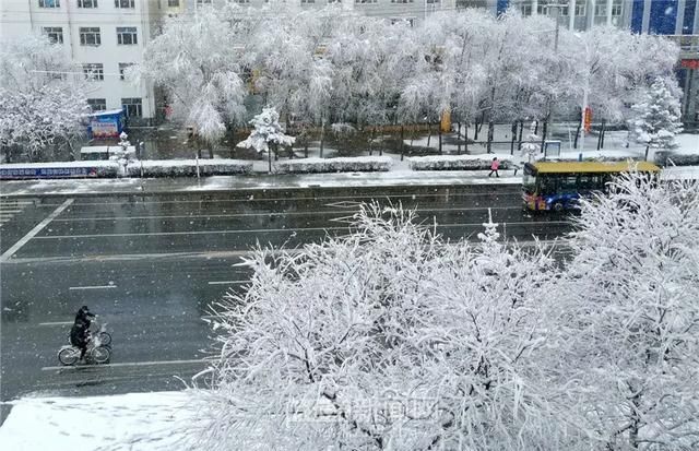 「交警部门」黑龙江这场大暴雪史上只现两次,专家分析来了!27日后可能…