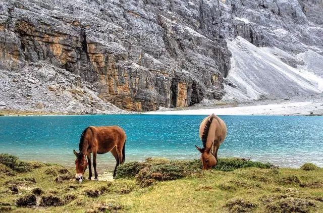 开进稻城亚丁！又挖到一条川西小环线，金秋醉美秋色在这里