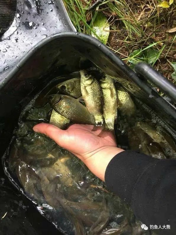  「鱼饵」初春碰到这几种“坏天气”别钓鱼，空军是注定的，鱼饵再好都没用
