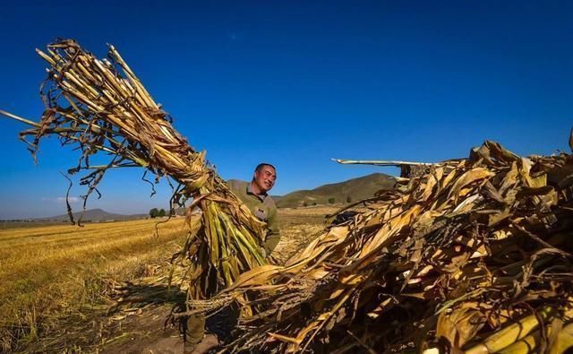 农村土地承包价格，到底怎么算？