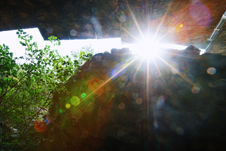 北京老年证如何办理