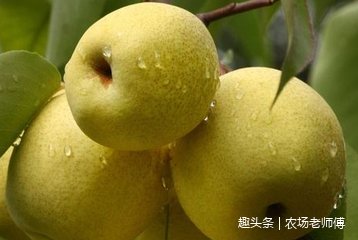 t01619b3a323dd92e17.jpg